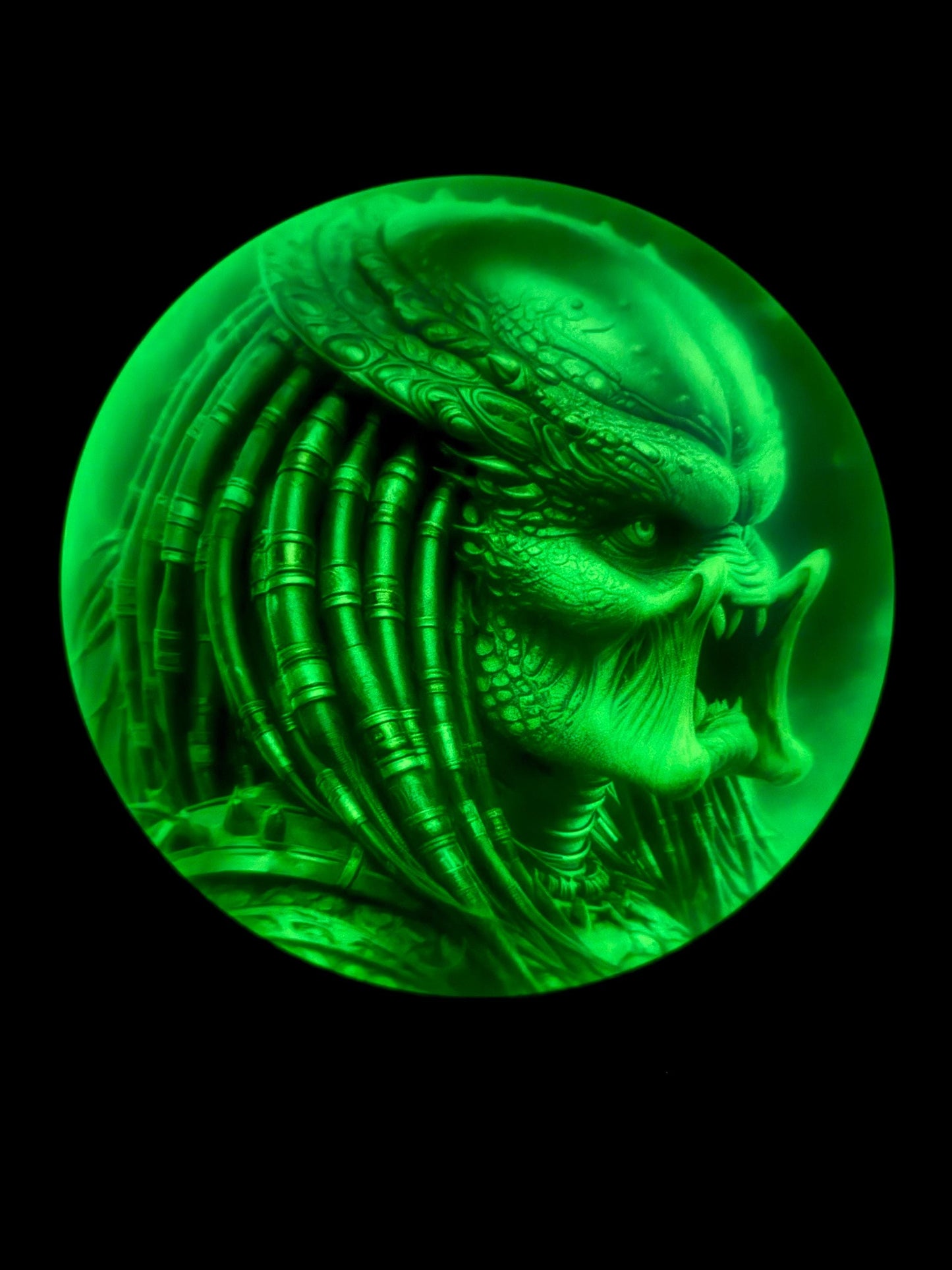 Innova Champion Glow Thunderbird
